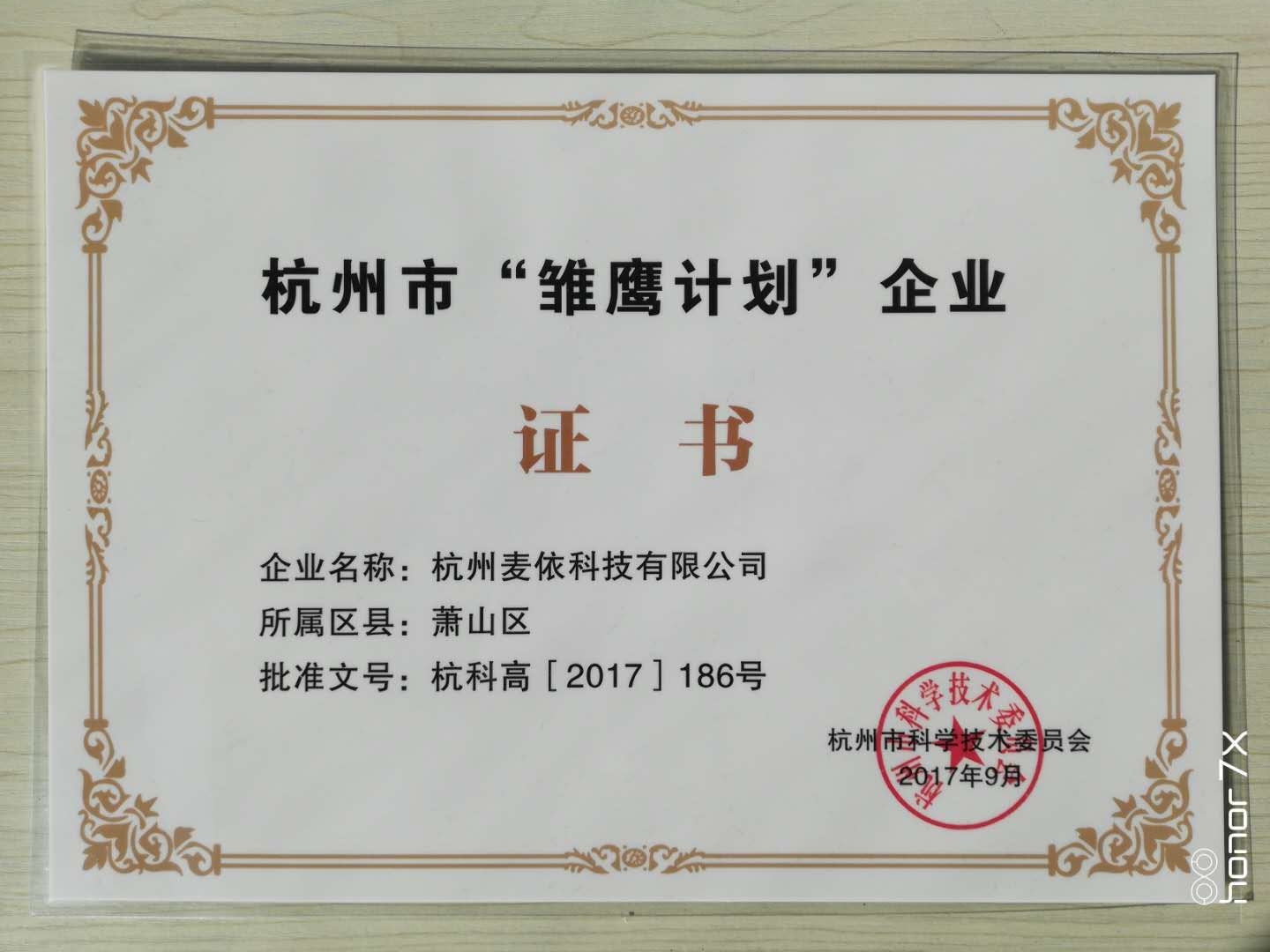雛鷹計劃